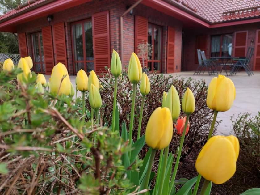 Port Jeziorak Bed & Breakfast Ilawa Bagian luar foto